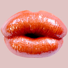 Load image into Gallery viewer, Fall Collection