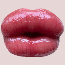 Load image into Gallery viewer, Vixen