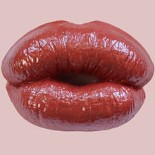 Load image into Gallery viewer, Fall Collection