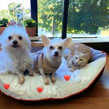 Load image into Gallery viewer, Precious 3