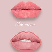 Load image into Gallery viewer, Carnation